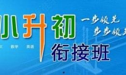 茂名小升初爆料新闻报道,揭秘升学内幕，家长学生关注焦点