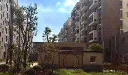 长春自媒体最新爆料电话,神秘电话揭开惊人内幕！